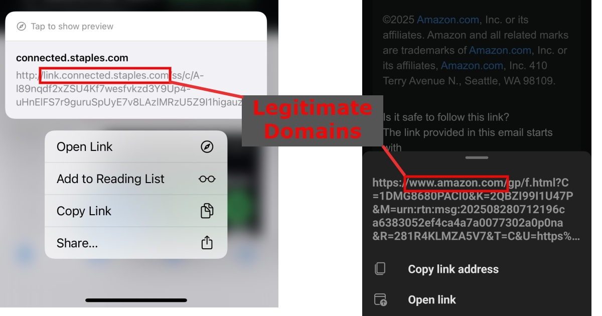 iPhone and Android preview showing phishing link long press